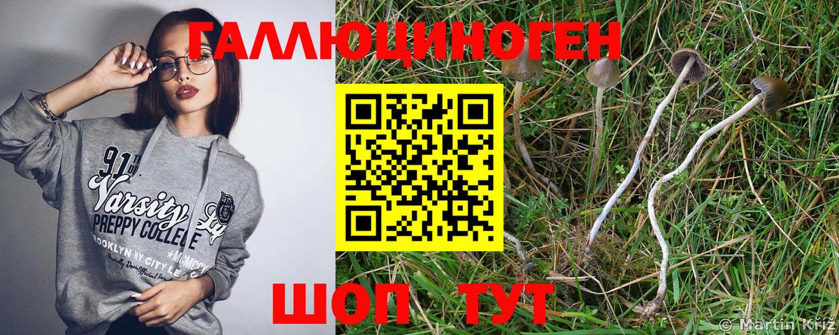Галлюциногенные грибы мухоморы  купить   Саянск  Вход с VPN 